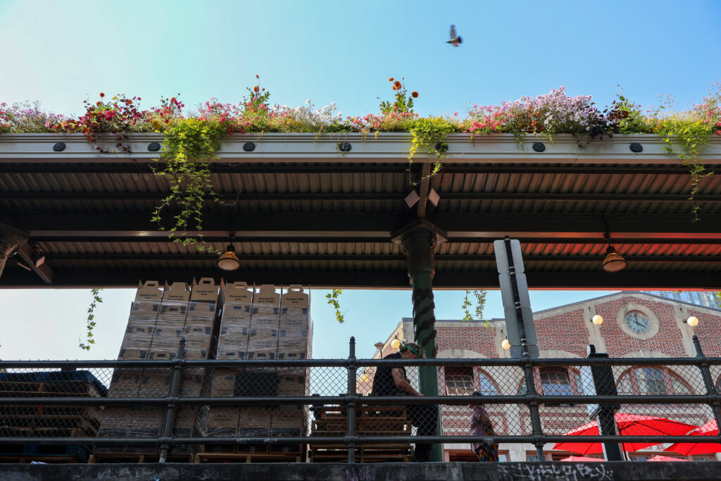 A bird flying over the Public Market Center in downtown Seattle.