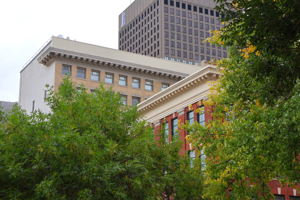 The tops of buildings in downtown Winnipeg, partially covered by trees.